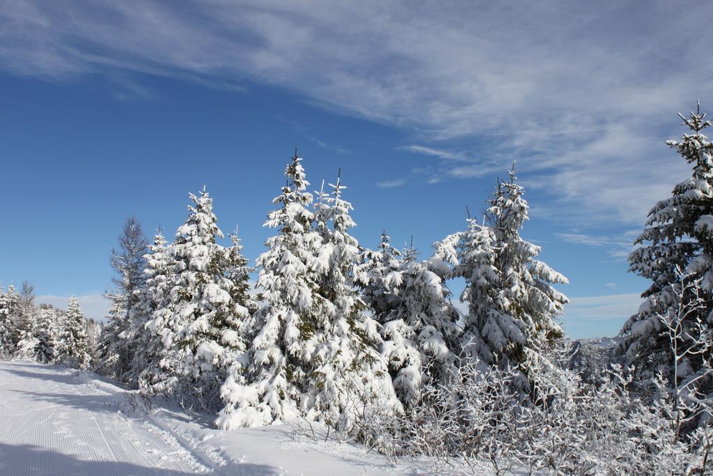 Rifugio Verenetta Casere Verena 외부 사진