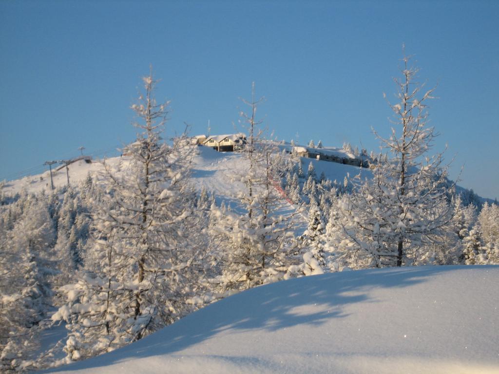 Rifugio Verenetta Casere Verena 외부 사진